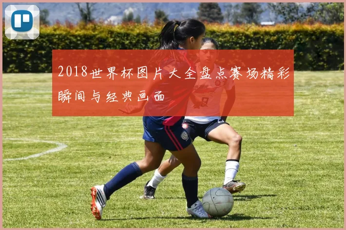 2018世界杯图片大全盘点赛场精彩瞬间与经典画面